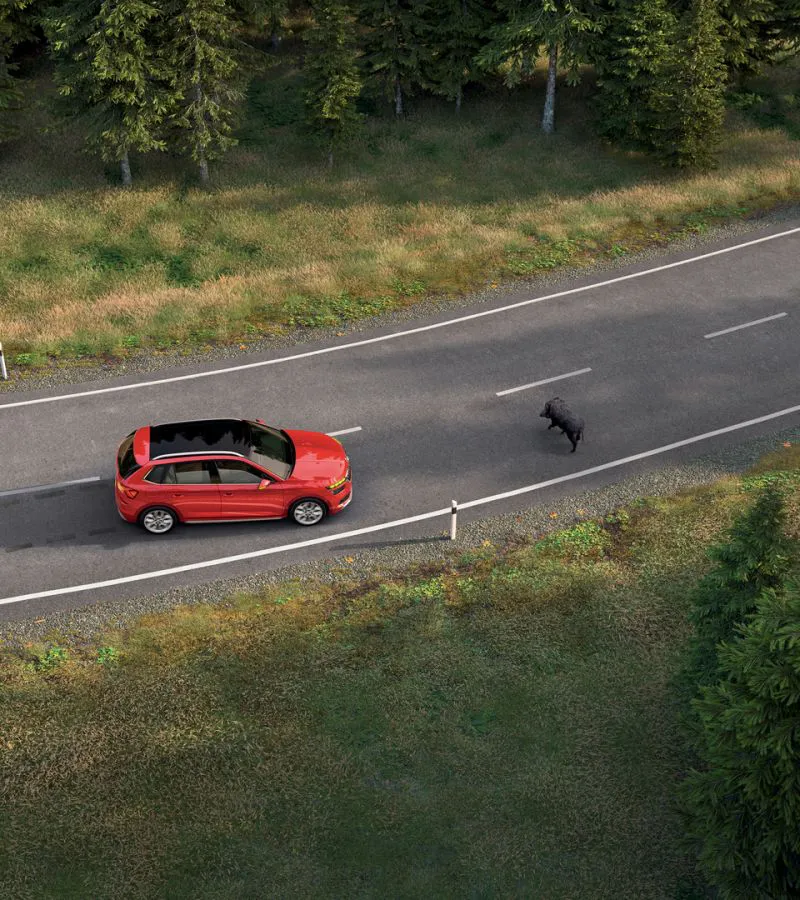 A richiesta - Crew Protect Assistant