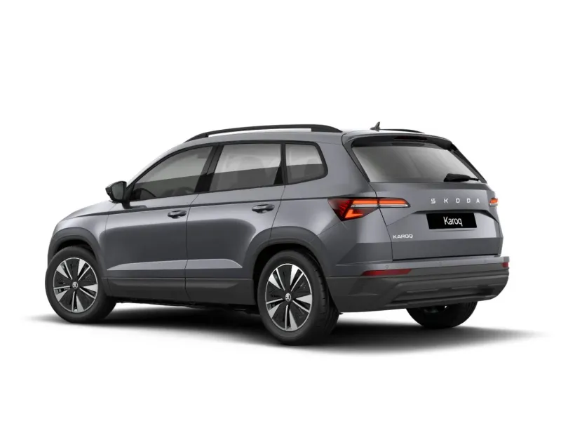 Škoda Karoq 2.0 TDI EVO SCR 150 CV Executive DSG 7