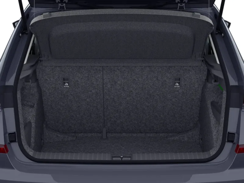 Škoda Kamiq 1.0 TSI 116 CV Black Dots DSG 7