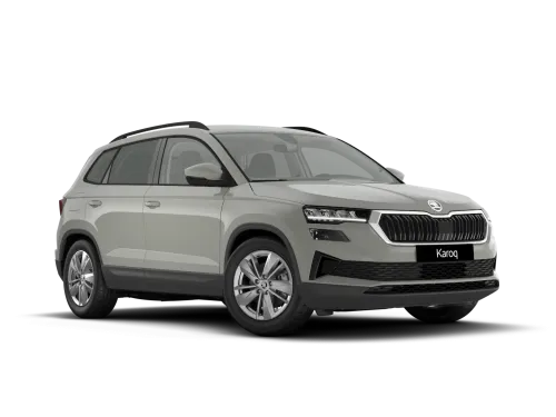 Škoda Karoq 1.0 TSI ACT 116 CV Executive