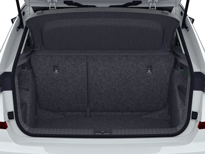 Škoda Kamiq 1.0 TSI 116 CV Monte Carlo