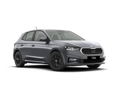 Škoda Fabia 1.0 MPI 90 CV Your Way Škoda Fabia 1.0 MPI 90 CV Your Way