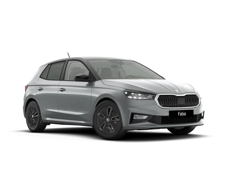 Škoda Fabia 1.0 MPI 80 CV Selection