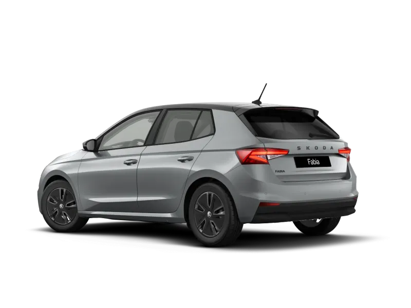 Škoda Fabia 1.0 MPI 80 CV Selection
