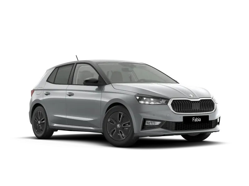 Škoda Fabia 1.0 MPI 80 CV Selection