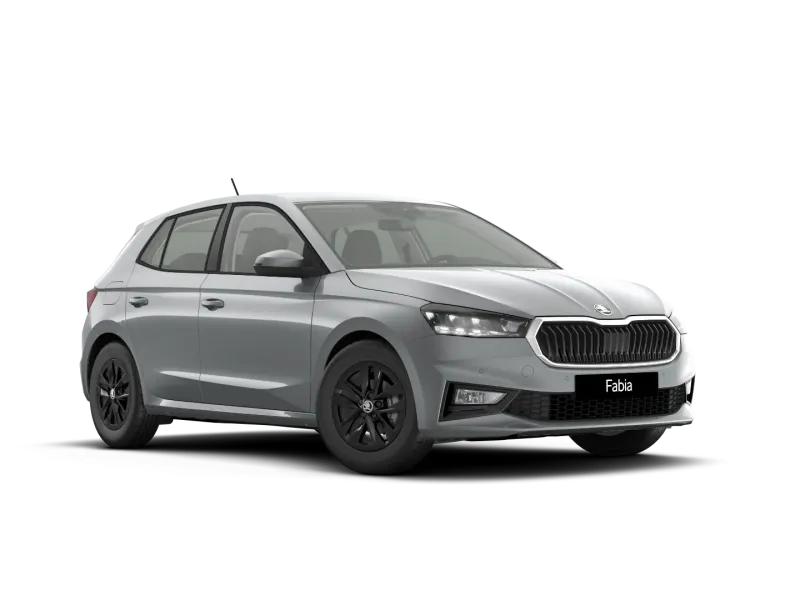 Škoda Fabia 1.0 MPI 80 CV Your Way